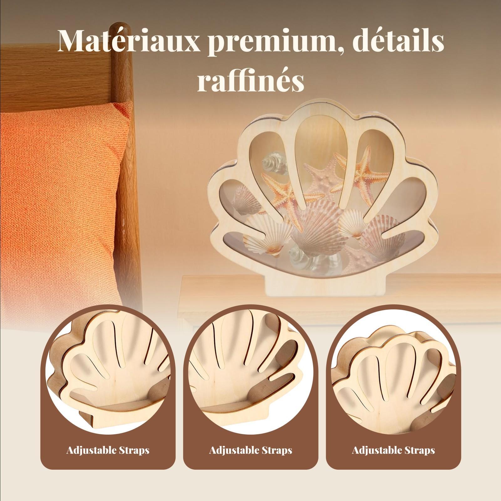 Wooden Shell Display Box Colle - Collectors Coins Jewelry & Watches Of Smithtown ulasan dan harga